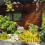 Quinta Da Valdigueira بلدية آرمامار
