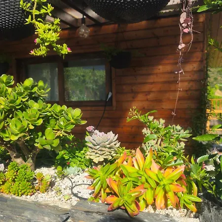 Quinta Da Valdigueira 阿尔马尔