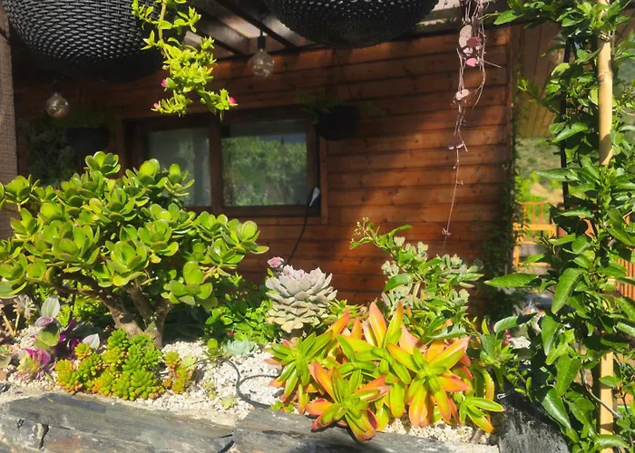 Quinta Da Valdigueira Армамар